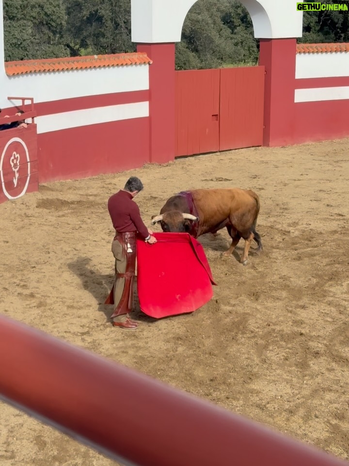 Laura Sánchez - 6.3K Likes - Día de campo con el tío más guapo del mundo mundial…@manuel.escribano y cuadrilla!!! @felipe__proenza @jlneiro @gutierrezperalta8 #currorobles #jaralta