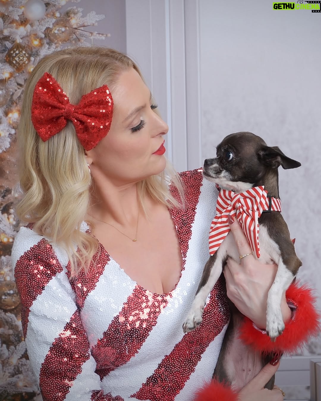 Lauren Ash - 8.9K Likes - First round of my 2025 holiday pics with Bean! Is Christmas a major part of my personality? Yes. Is that why I released a pop punk Christmas EP in 2023? Also yes. Add the tunes to your holiday playlists! Also swipe to seek my adorable baby child in her festive collars!