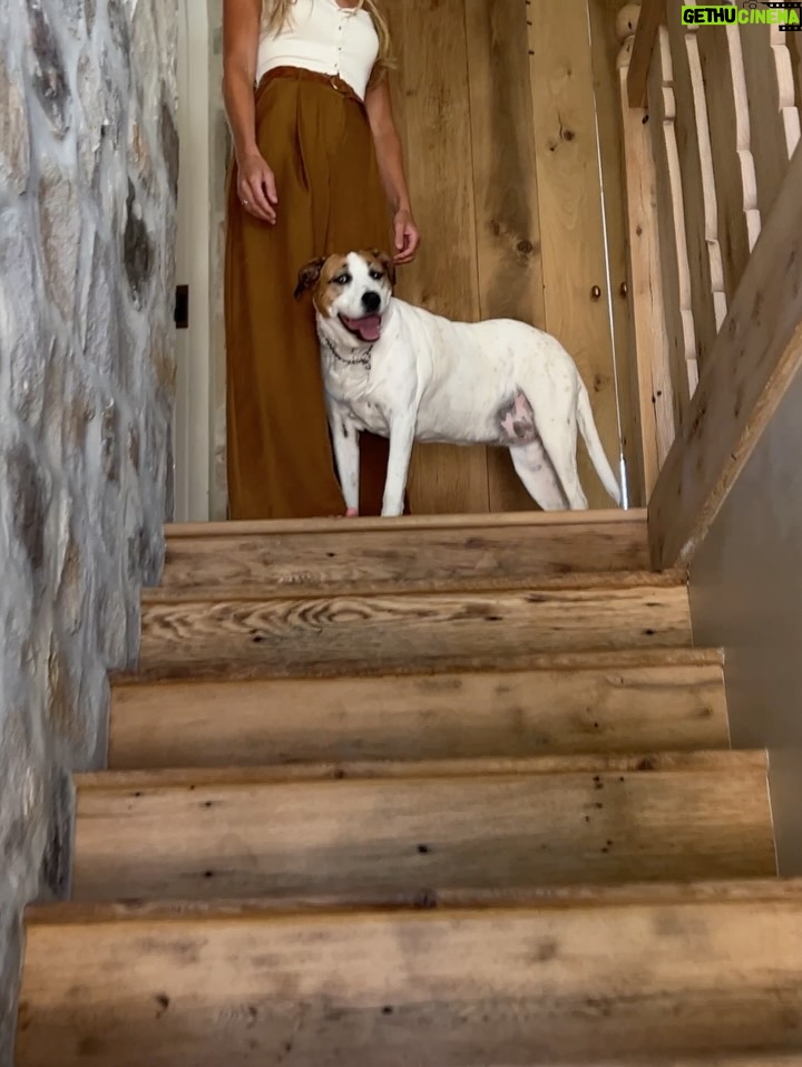 Lauren Liess - 1.8K Likes - Full video House Tour of the Upstairs at our place is up! 🤍  from the stone walls to the cross cut-out to the stair railings to Narnia… each of the kids had their own ideas (the boys skewed Medieval & the girls asked for “old-fashioned”   the guest bedroom was made from leftovers) (1st image of the “folk lamp” from my collection with @troylighting / photo by @helennorman … 4th slide I am SO excited about the new “voyage” bed from my collection with @woodbridgefurniture )