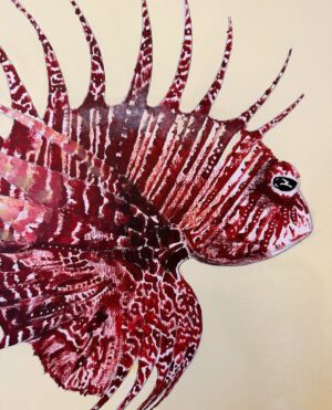 Laurène Arnoux Instagram - Rascasse volante à l’acrylique et pastel sec 29,7x42cm