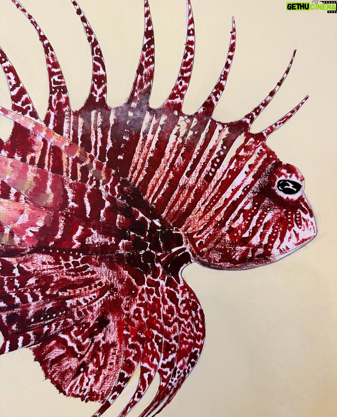 Laurène Arnoux - 30.7K Likes - Rascasse volante à l’acrylique et pastel sec 29,7x42cm