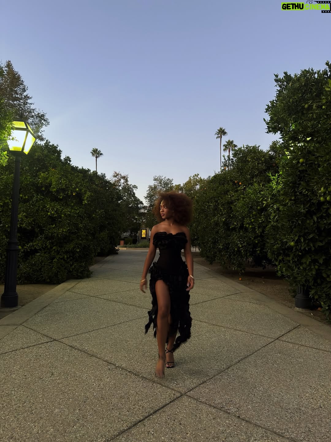 Leah Sava Jeffries - 301.6K Likes - Homecoming ‘25

 It was only last night and I miss it already🫶🏾

📸: @liljeffries
