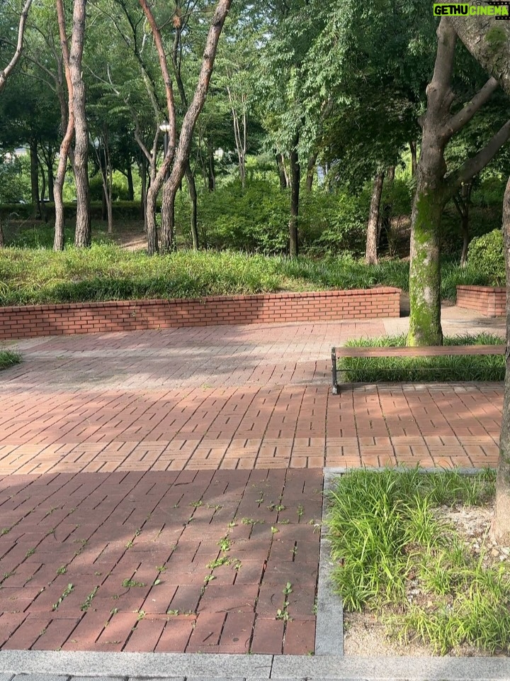 Lee El - 6.4K Likes - _
🌿🧡🫶🏻🤍🌞🥂✨
예쁜거 뒤에 빙구 빙구뒤에 김렌이 김렌이 뒤에 술 술 뒤에 박필립 박필립 뒤에 엘라써니 엘라써니 뒤에 우리집 루카스 우리집 루카스 뒤에 김뾴뇨 김뾴뇨뒤에 계곡와인 계곡와인 뒤에 자연인🌿✨