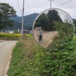 Lee Young-ae