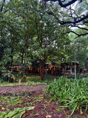 Liliana Santos Instagram - Axé 💖✨

#saopaulo #ibirapuera #ilhabela #brasil