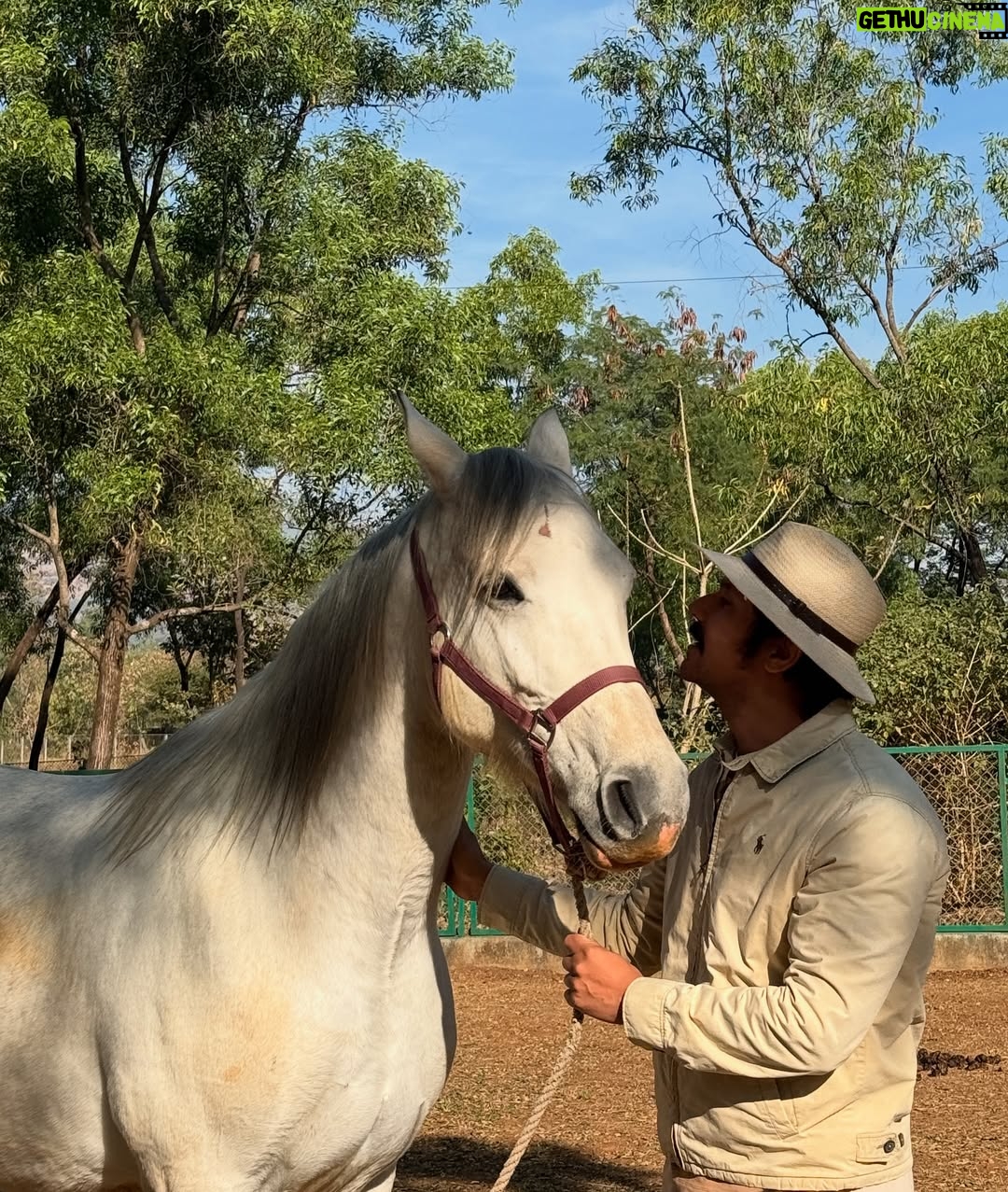 Lin Laishram - 45.6K Likes - Christmas filled with fresh air and lots of horsey love because sometimes the quiet moments in nature are the real celebration.🐴🌲❤️ Where the world slows down and makes you relook at what really matters. About the moments and the sunsets.

Chrismas 2025