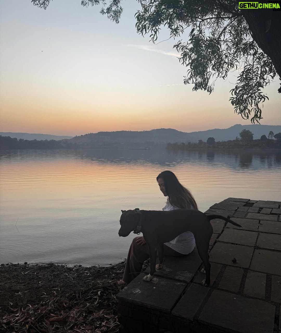 Lin Laishram - 45.6K Likes - Christmas filled with fresh air and lots of horsey love because sometimes the quiet moments in nature are the real celebration.🐴🌲❤️ Where the world slows down and makes you relook at what really matters. About the moments and the sunsets.

Chrismas 2025