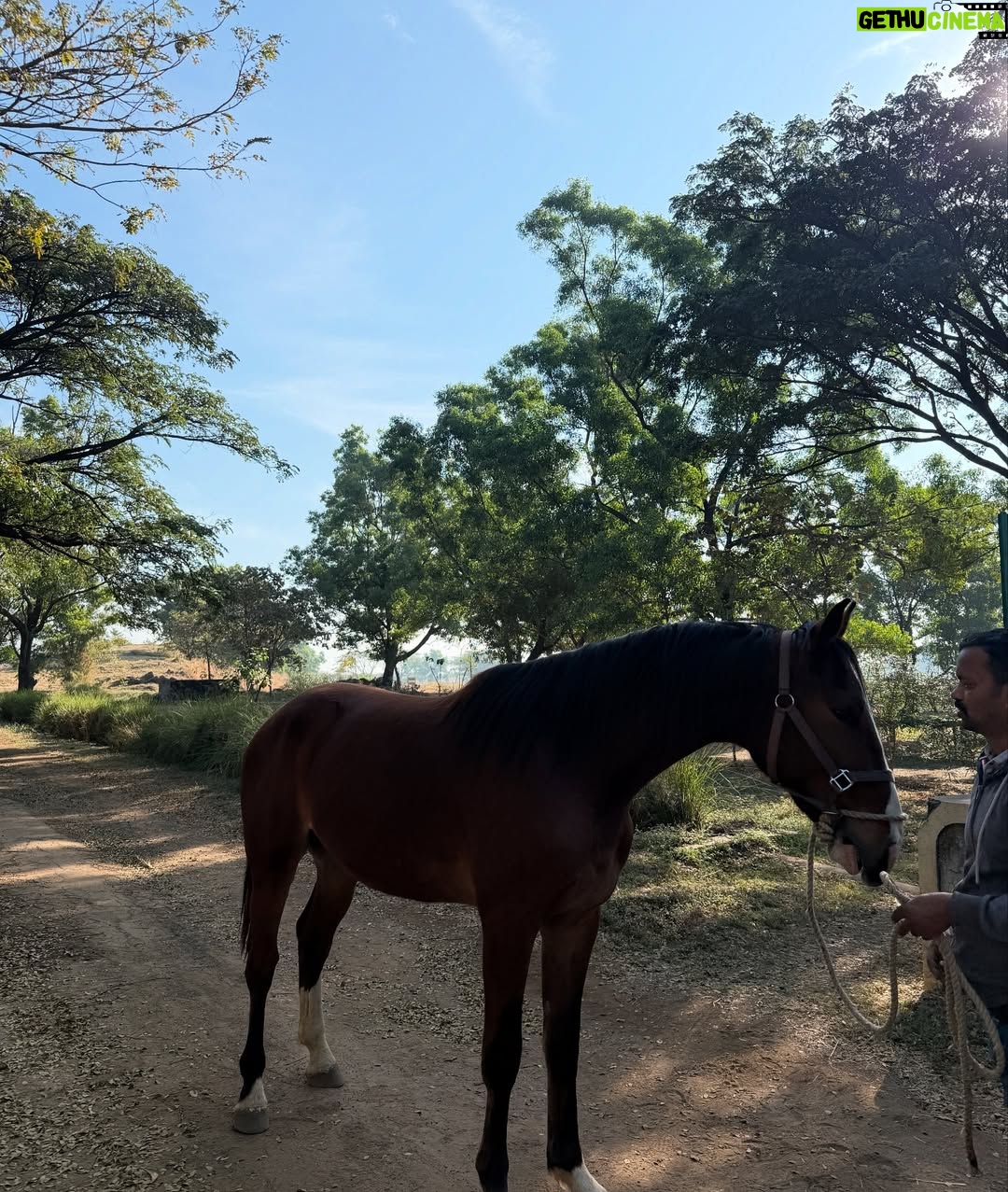 Lin Laishram - 45.6K Likes - Christmas filled with fresh air and lots of horsey love because sometimes the quiet moments in nature are the real celebration.🐴🌲❤️ Where the world slows down and makes you relook at what really matters. About the moments and the sunsets.

Chrismas 2025