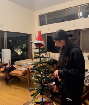 Lin Laishram Instagram - Christmas filled with fresh air and lots of horsey love because sometimes the quiet moments in nature are the real celebration.🐴🌲❤️ Where the world slows down and makes you relook at what really matters. About the moments and the sunsets.

Chrismas 2025