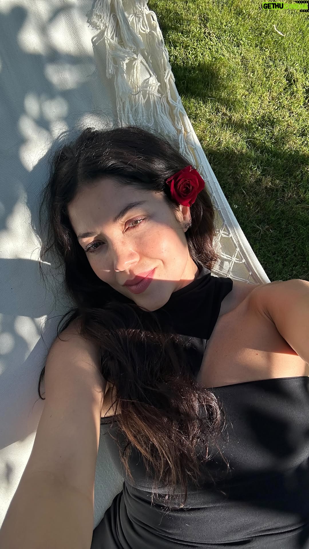 Lina Castrillón - 615 Likes - Las cosas más hermosas siempre tienen un trabajo silencioso detrás…
Paciencia, cuidado y tiempo 🍇
Gracias @gatonegro.colombia 
Por esta  inolvidable experiencia 🇨🇱