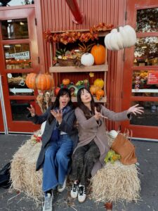 Actress Lindsay Price HD Photos and Wallpapers October 2025