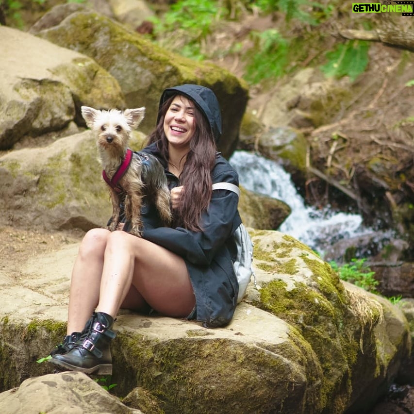 Lore Graniewicz - 6.7K Likes - #nature 
Luca my love 🐾🐾
Amo México 🇲🇽❤️
Ahora que podamos los invito a conocer México, tiene lugares mágicos y gente cálida.
#yoquieroconocerméxico 
#ayudaatupais 
Gracias @benefitmexico por hacerme lucir siempre linda un maquillaje natural! 
Amo mis cejas #browpencilbenefit 
Photo by @mauricio_3k