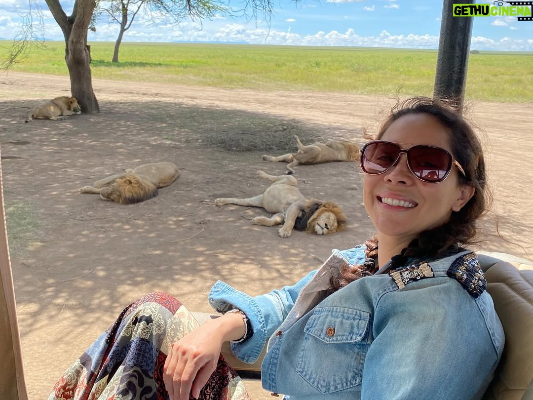 Lore Graniewicz - 1.1K Likes - Remember who you are 
 
Esta tierra maravillosa me hizo entender tantas cosas! Reconectar conmigo y con la naturaleza 
Para mí hoy es tierra sagrada 
Gracias Africa 🇹🇿🇰🇪