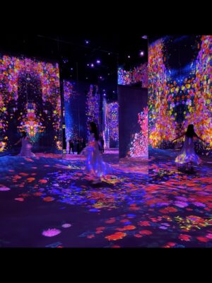 Lorene Ren Instagram - 走進澳門的 TeamLab，好像闖進一場迷幻的夢境😍
光在流動、花在盛開，腳步也不自覺地慢了下來。
在光海裡旋轉、在繽紛的舞池裡跳舞💃🏻
在大球之間穿梭，在蘭花雨下靜靜坐著🌼

TeamLab 好美，
但更美的是——
在這迷幻的場景裡，
重新感覺到心裡那輕輕的、暖暖的悸動💗