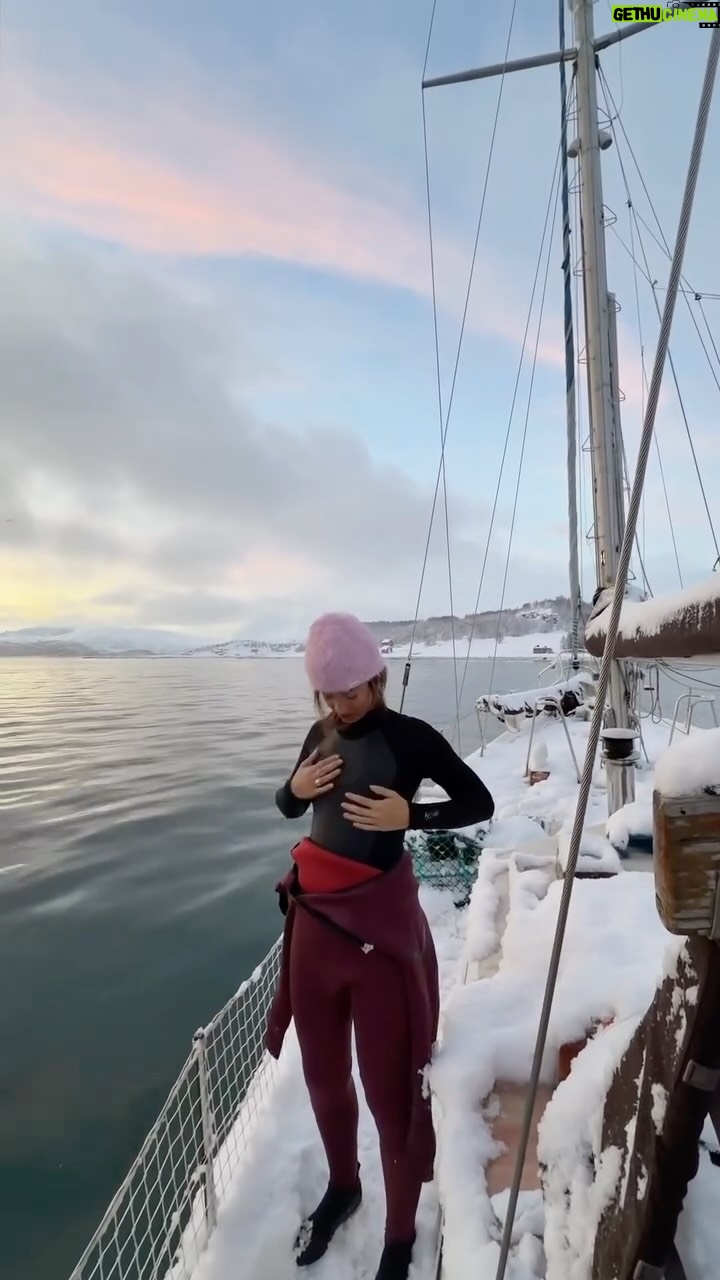 Lucie Rhéaume - 7.6K Likes - P’tit moment du jour 1 à essayer de ne pas me faire manger en plongeant avec les orques du Cercle Arctique hihihi (jk le plus grand prédateur de l’océan ne s’attaque pas aux humains).🤞🏼