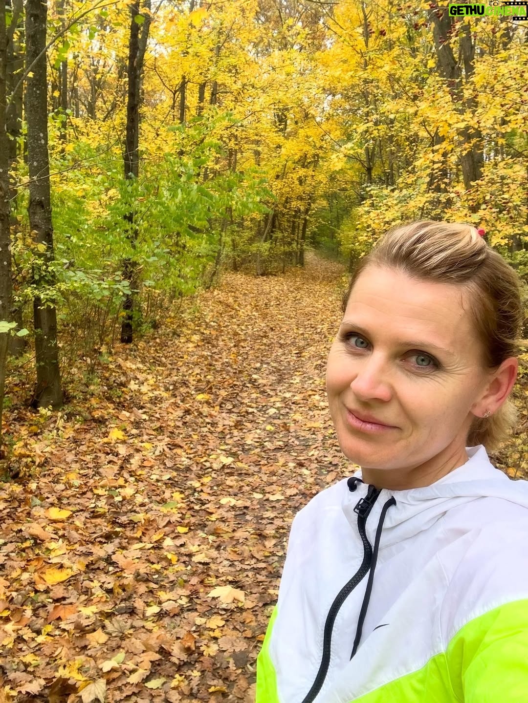 Lucie Šafářová - 3.9K Likes - Už jste byli letos v lese ochutnat podzim? 🍂🍁 Tu vůni listí, to šustění pod nohama a ty barvy všude okolo sebe! 🧡 Jít si zaběhat, jen tak se projít, nebo jen chvíli vyvětrat..ta příroda nejvíc dobíjí baterky a dodává energii! Dnes jsem potkala lidi se psem, důchodce s hůlkou, zamilovaný pár, děti s rodiči, zvládne to každý! Máme to štěstí, že máme 4 roční období, tak je fajn si je prožít pěkně! Protože podzimní depka je jen úhel pohledu na věc! Trenér mi často říkával, není špatné počasí, je jen špatné oblečení. 😅 a ten čaj po té prochajdě chutná prostě líp! 💪🏻