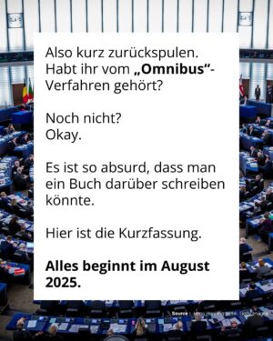 Luisa Neubauer Instagram - Was gerade passiert, ist ungesehen in der Geschichte der Europäischen Union. Eine beispiellose Bedrohung  europäischen. Die Konservativen und die Rechtsextremen sind im Inbegriff, das, wofür Jahre und Jahrzehnte gekämpft wurde, einzureißen: demokratische Grundrechte, der Schutz des Planeten und unserer Gesundheit.
Sprich: die Grundpfeiler einer sicheren Zukunft. 
Es ist ein Wahnsinn. Lest bis zum Ende. Und dann lasst uns laut werden. An dieser Stelle ist Schlafwandeln keine Option.

Teilt diesen Post, taggt @bundeskanzler, @ursulavonderleyen und @manfred.weber und schreibt an eure EU-Abgeordneten vor Ort! ✊

 #WakeUpEU #Klimaschutz #Omnibus