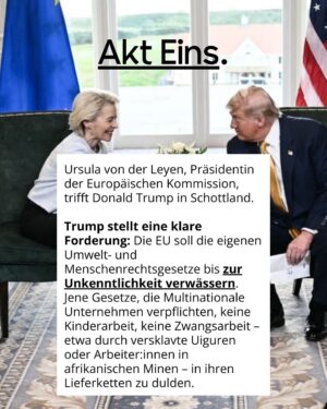 Luisa Neubauer Instagram - Was gerade passiert, ist ungesehen in der Geschichte der Europäischen Union. Eine beispiellose Bedrohung  europäischen. Die Konservativen und die Rechtsextremen sind im Inbegriff, das, wofür Jahre und Jahrzehnte gekämpft wurde, einzureißen: demokratische Grundrechte, der Schutz des Planeten und unserer Gesundheit.
Sprich: die Grundpfeiler einer sicheren Zukunft. 
Es ist ein Wahnsinn. Lest bis zum Ende. Und dann lasst uns laut werden. An dieser Stelle ist Schlafwandeln keine Option.

Teilt diesen Post, taggt @bundeskanzler, @ursulavonderleyen und @manfred.weber und schreibt an eure EU-Abgeordneten vor Ort! ✊

 #WakeUpEU #Klimaschutz #Omnibus