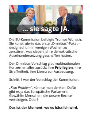 Luisa Neubauer Instagram - Was gerade passiert, ist ungesehen in der Geschichte der Europäischen Union. Eine beispiellose Bedrohung  europäischen. Die Konservativen und die Rechtsextremen sind im Inbegriff, das, wofür Jahre und Jahrzehnte gekämpft wurde, einzureißen: demokratische Grundrechte, der Schutz des Planeten und unserer Gesundheit.
Sprich: die Grundpfeiler einer sicheren Zukunft. 
Es ist ein Wahnsinn. Lest bis zum Ende. Und dann lasst uns laut werden. An dieser Stelle ist Schlafwandeln keine Option.

Teilt diesen Post, taggt @bundeskanzler, @ursulavonderleyen und @manfred.weber und schreibt an eure EU-Abgeordneten vor Ort! ✊

 #WakeUpEU #Klimaschutz #Omnibus