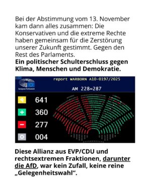 Luisa Neubauer Instagram - Was gerade passiert, ist ungesehen in der Geschichte der Europäischen Union. Eine beispiellose Bedrohung  europäischen. Die Konservativen und die Rechtsextremen sind im Inbegriff, das, wofür Jahre und Jahrzehnte gekämpft wurde, einzureißen: demokratische Grundrechte, der Schutz des Planeten und unserer Gesundheit.
Sprich: die Grundpfeiler einer sicheren Zukunft. 
Es ist ein Wahnsinn. Lest bis zum Ende. Und dann lasst uns laut werden. An dieser Stelle ist Schlafwandeln keine Option.

Teilt diesen Post, taggt @bundeskanzler, @ursulavonderleyen und @manfred.weber und schreibt an eure EU-Abgeordneten vor Ort! ✊

 #WakeUpEU #Klimaschutz #Omnibus