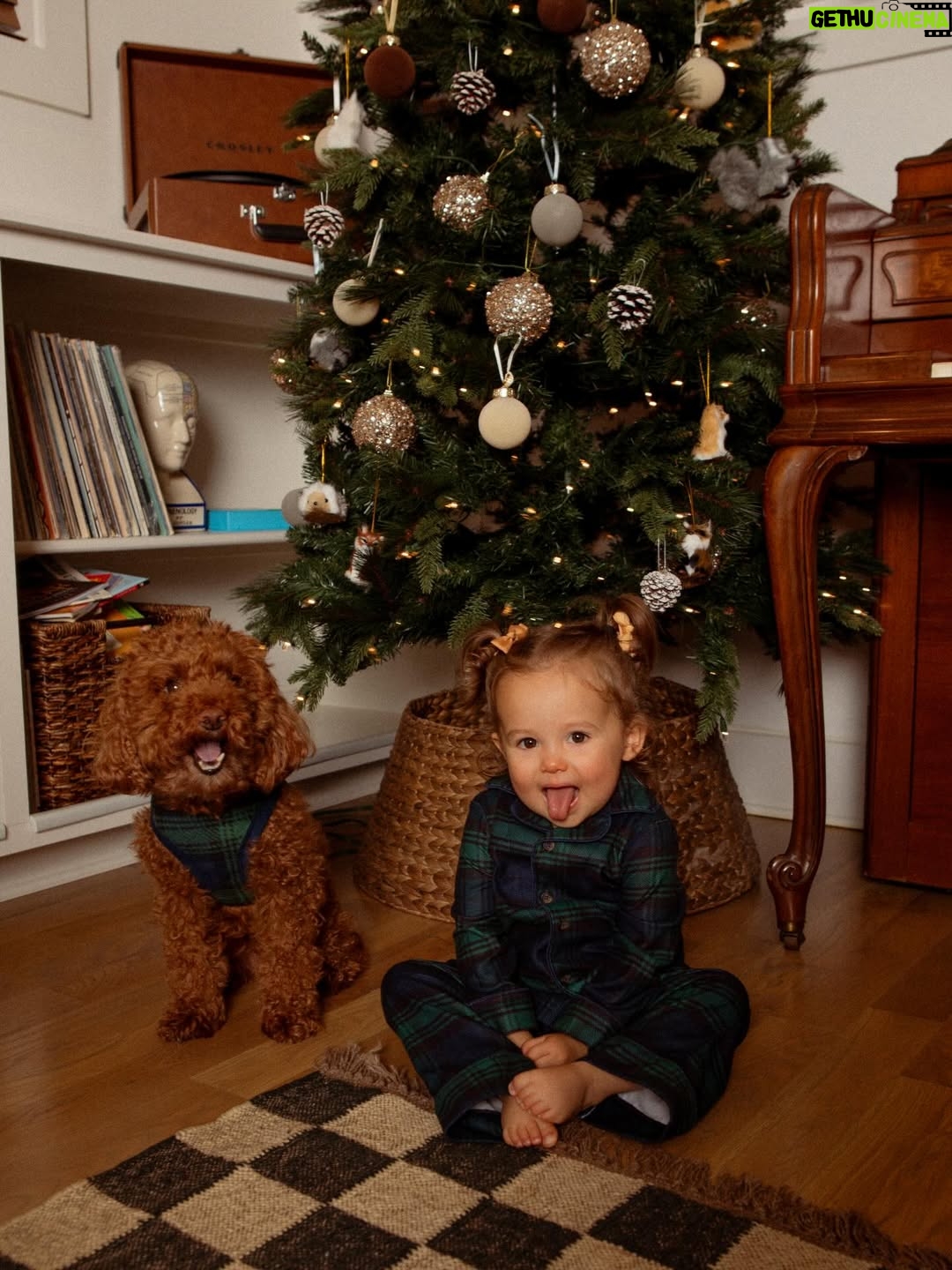 MacKenzie Porter - 3.5K Likes - The coziest lil season with my babies. 
Merry Christmas ma loves. 🎄❤️🎄
Hope you all are enjoying some yummy food and family 🙏🏻