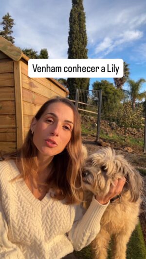 Mafalda Rodiles Instagram - 🐶 A Nossa Querida Lily Procura Casa! 🏠
Conheçam a Lily, uma menina linda que está connosco no Santuário Mafalda Adota. Ela tem sido muito paciente, mas merece, de coração, encontrar um lar e uma família para a vida!
 * Idade: 3 anos.
 * Raça: Cão de Pastor Catalão (Catalonia Sheepdog).
 * Porte: Médio-Pequeno.
 * Pelo: Comprido (requer manutenção ocasional) 

✨ Personalidade da Lili:
A Lili é muito meiguinha e super independente. Ela adora explorar e precisa de espaço exterior para ser feliz.
🐾 Compatibilidade:
 * Cães: Dá-se bem com alguns cães (machos), mas não com todas as cadelas.
 * Gatos: Não gosta de gatos.

Lili é uma cadela super especial que precisa de uma família 5⭐️. Quem quiser vir conhecê-la e visitar o santuário, está super convidado! Será um prazer receber-vos. É só mandar mensagem!

🙏 Um Grande Agradecimento e Um Pedido!
Quero agradecer a todas as pessoas que têm contribuído para o Santuário Mafalda Adota!
Estamos a trabalhar muito para conseguir comprar um abrigo digno para os nossos cães, para os proteger da chuva e do frio que se aproxima. Espero que nos próximos dias consigamos chegar ao nosso objetivo para que eu consiga realmente comprar este abrigo.
Por favor, partilhe este post para chegarmos a muitas famílias e conseguirmos rapidamente um lar para a Lili e apoio para o Santuário!

Mil obrigadas à @fluffypetcare.pt que apoia o meu projeto desde o dia 1! Sem eles não teria sido possível!! ♥️♥️♥️

#MafaldaAdota #CaoParaAdocao #AdocaoResponsavel #CaoDePastorCatalao #SantuarioAnimal #NaoCompreAdote