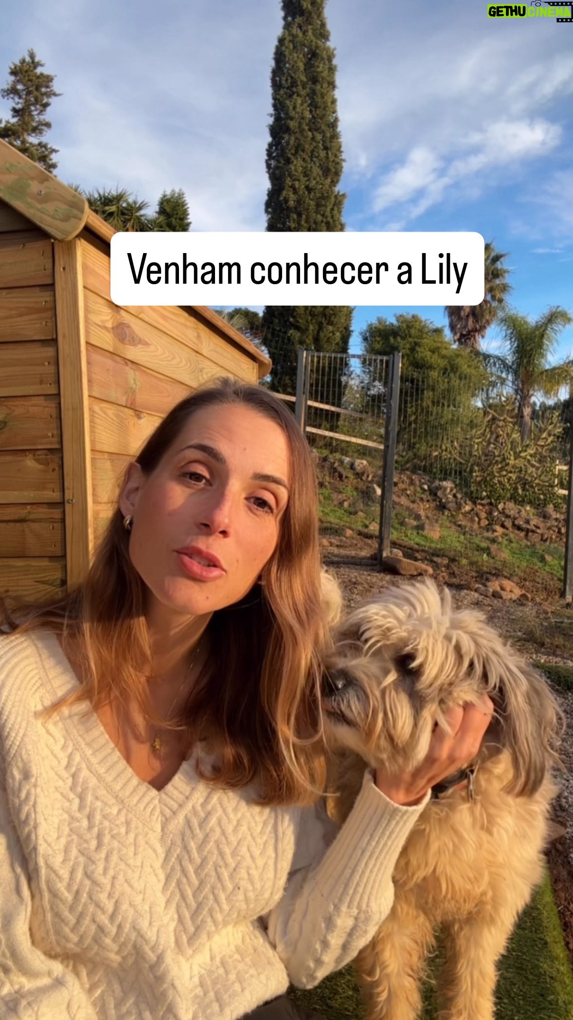 Mafalda Rodiles - 760 Likes - 🐶 A Nossa Querida Lily Procura Casa! 🏠
Conheçam a Lily, uma menina linda que está connosco no Santuário Mafalda Adota. Ela tem sido muito paciente, mas merece, de coração, encontrar um lar e uma família para a vida!
 * Idade: 3 anos.
 * Raça: Cão de Pastor Catalão (Catalonia Sheepdog).
 * Porte: Médio-Pequeno.
 * Pelo: Comprido (requer manutenção ocasional) 

✨ Personalidade da Lili:
A Lili é muito meiguinha e super independente. Ela adora explorar e precisa de espaço exterior para ser feliz.
🐾 Compatibilidade:
 * Cães: Dá-se bem com alguns cães (machos), mas não com todas as cadelas.
 * Gatos: Não gosta de gatos.

Lili é uma cadela super especial que precisa de uma família 5⭐️. Quem quiser vir conhecê-la e visitar o santuário, está super convidado! Será um prazer receber-vos. É só mandar mensagem!

🙏 Um Grande Agradecimento e Um Pedido!
Quero agradecer a todas as pessoas que têm contribuído para o Santuário Mafalda Adota!
Estamos a trabalhar muito para conseguir comprar um abrigo digno para os nossos cães, para os proteger da chuva e do frio que se aproxima. Espero que nos próximos dias consigamos chegar ao nosso objetivo para que eu consiga realmente comprar este abrigo.
Por favor, partilhe este post para chegarmos a muitas famílias e conseguirmos rapidamente um lar para a Lili e apoio para o Santuário!

Mil obrigadas à @fluffypetcare.pt que apoia o meu projeto desde o dia 1! Sem eles não teria sido possível!! ♥️♥️♥️

#MafaldaAdota #CaoParaAdocao #AdocaoResponsavel #CaoDePastorCatalao #SantuarioAnimal #NaoCompreAdote