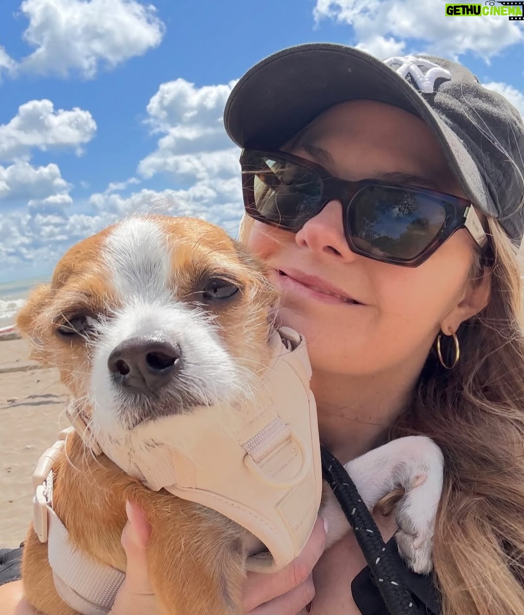 Maggie Lawson - 17.2K Likes - A good minute…💙