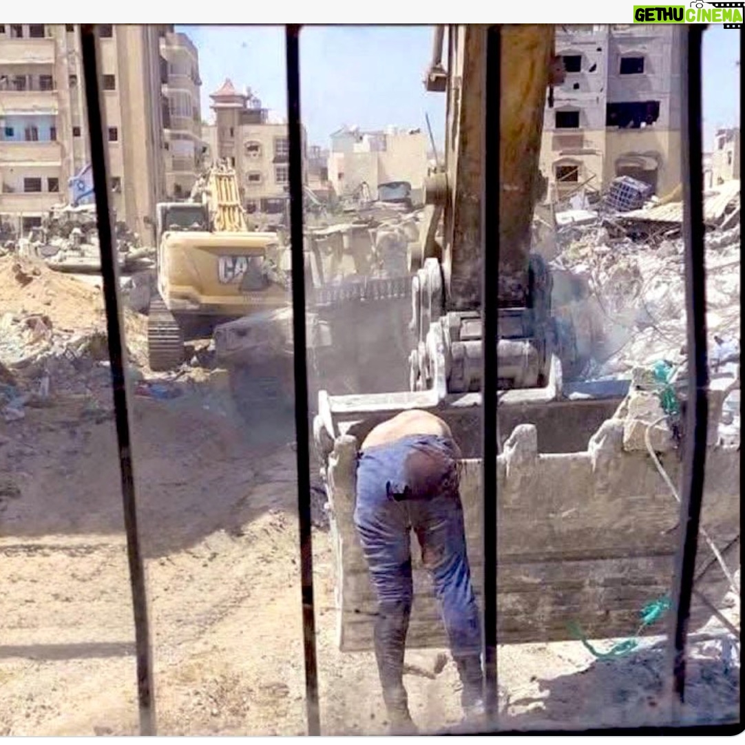 Marcia Cross - 31.8K Likes - It isn't the dead body. We have seen more than we can count. Heads torn off babies, people w limbs blown apart, children dying in front of us. It is the mentality in plain view. These photos and videos will live in on in perpetuity as the shame of the actions of Israel. And yet many will still try to tell me that is not so. Or worse, watch in silence as if nothing is happening. Our only hope now is regular citizens of the world getting in boats to do what no govt will do.