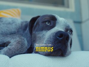 Mari Madrid Instagram - Welcome home Nimbus ☁️