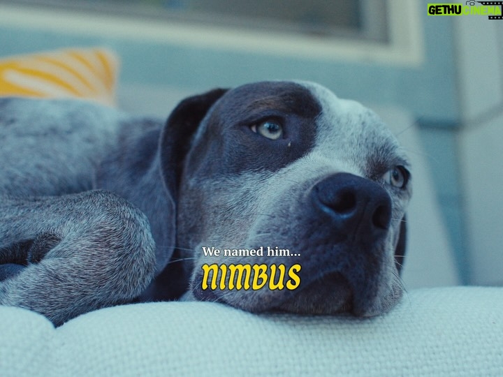 Mari Madrid - 5.4K Likes - Welcome home Nimbus ☁️
