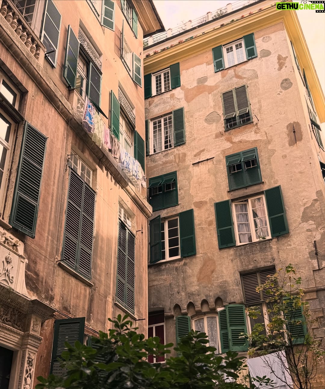 Maria Bekatorou - 11.8K Likes - When the world seem to shine like you had too much wine…That’s amore 🇮🇹❤️ #blessed #thankful #italianfood #italianlife#genova #cinqueterre #laviestbelle
