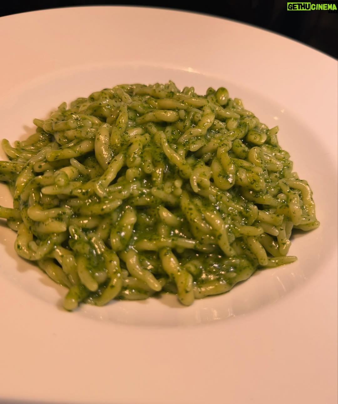Maria Bekatorou - 11.8K Likes - When the world seem to shine like you had too much wine…That’s amore 🇮🇹❤️ #blessed #thankful #italianfood #italianlife#genova #cinqueterre #laviestbelle