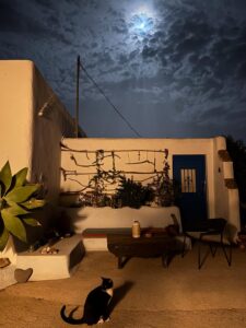 María Hervás Instagram - Con Arte de Artillo en Cabo de Gata 🌓
Te quiero, gitano @ernestoartillo