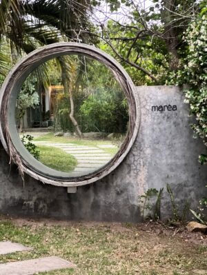 María José Prieto Instagram - “La seguridad no es la ausencia de amenaza, es la presencia de conexión.’
Dr. Gabor Maté