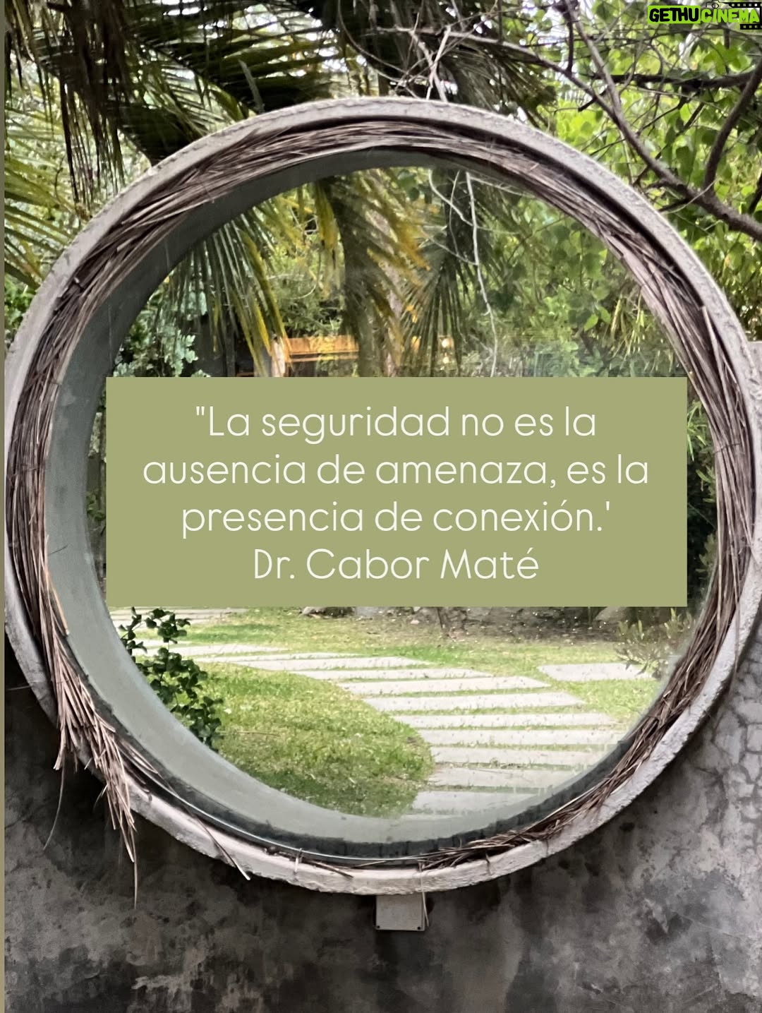 María José Prieto - 3 Likes - “La seguridad no es la ausencia de amenaza, es la presencia de conexión.’

Dr. Gabor Maté