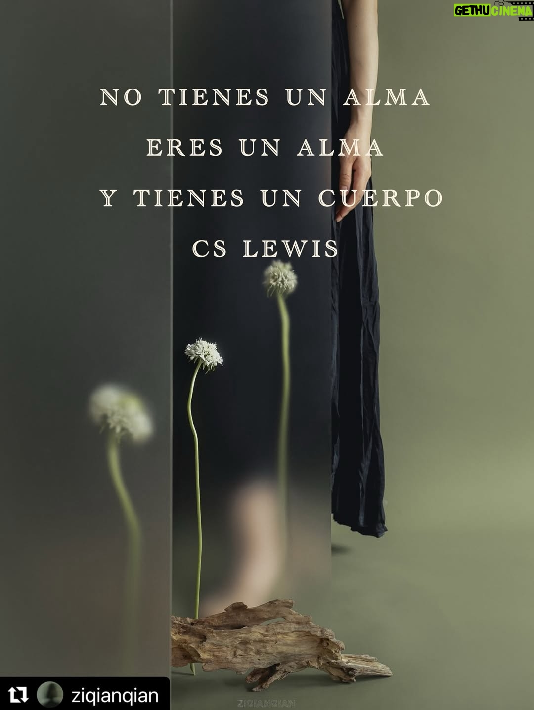 María José Prieto - 3 Likes - 🪻No tienes un alma
  Eres un alma 
  y tienes un cuerpo🪻

Cs Lewis

📸 @ziqianqian