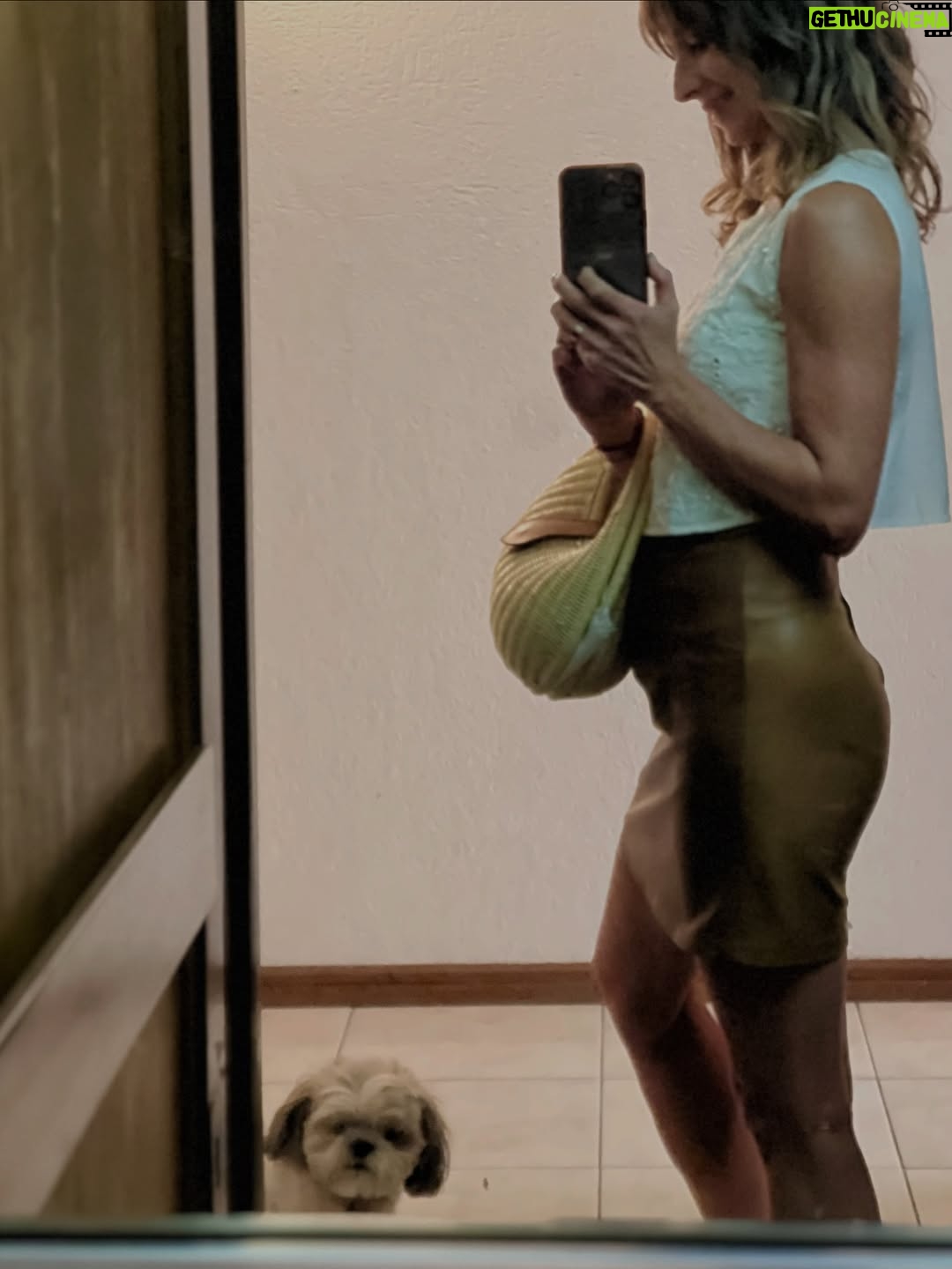 María José Prieto - 3 Likes - Quédate con alguien que te mire 
como te mira la PiPA 🥰😍😂

Que tengan un lindo DOMINGO ☀️ 
@clubdeperrosygatos.cl 
#pipa #pipalover 🐶