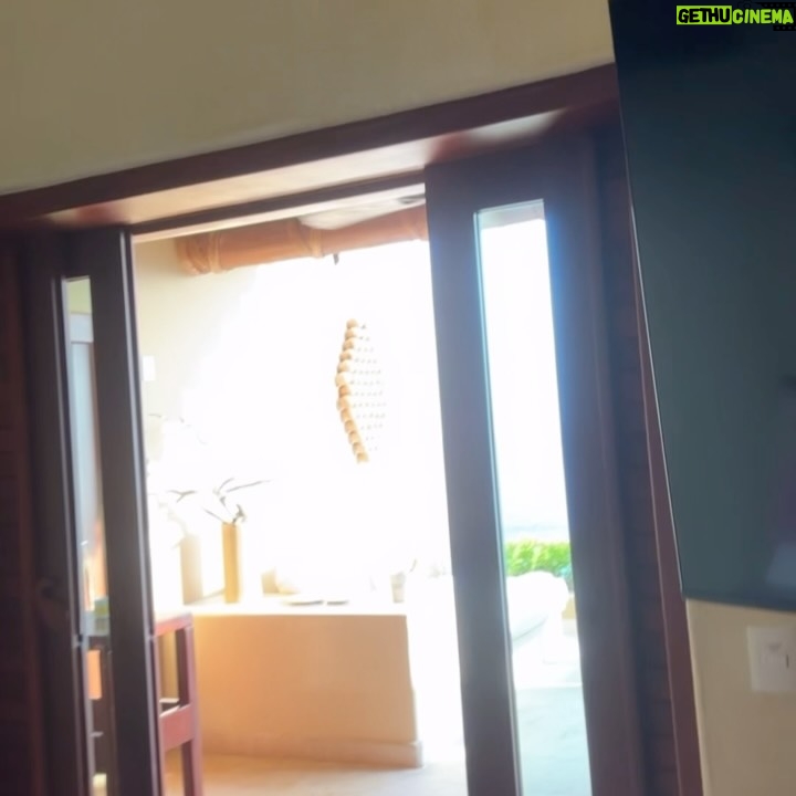 Mariana Ávila - 3.6K Likes - Momentitos que recordaré cuando pase mucho tiempo y me harán regresar
 a @calademarixtapa
