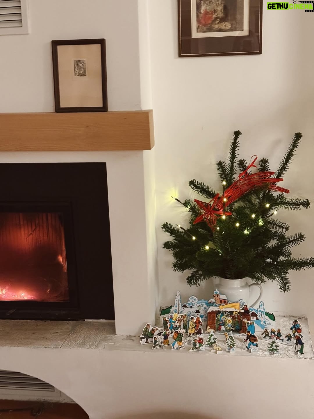 Mariana Prachařová - 3.3K Likes - krásnou poslední adventní neděli přeju🫶🏻🎄