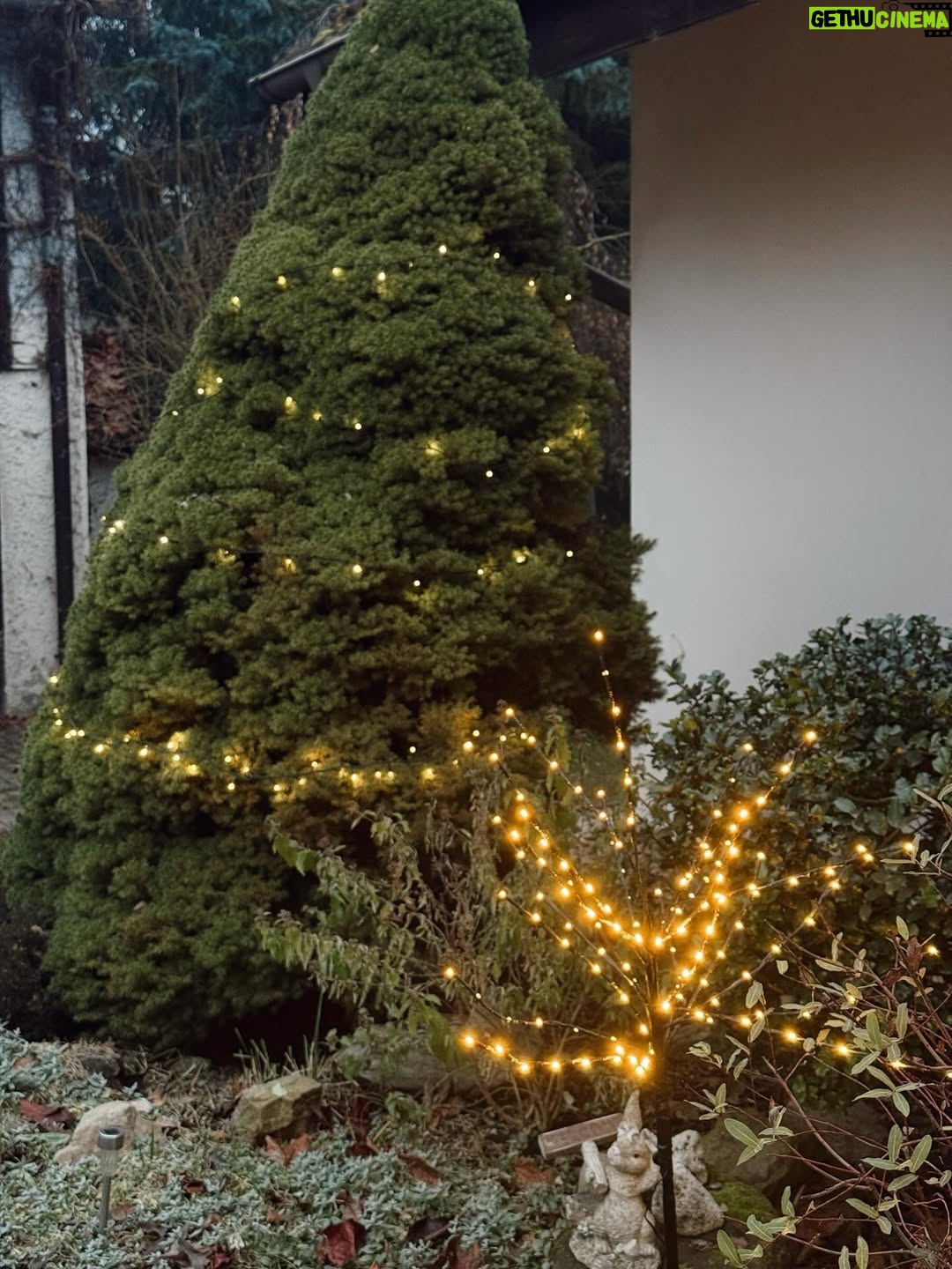 Mariana Prachařová - 3.3K Likes - krásnou poslední adventní neděli přeju🫶🏻🎄