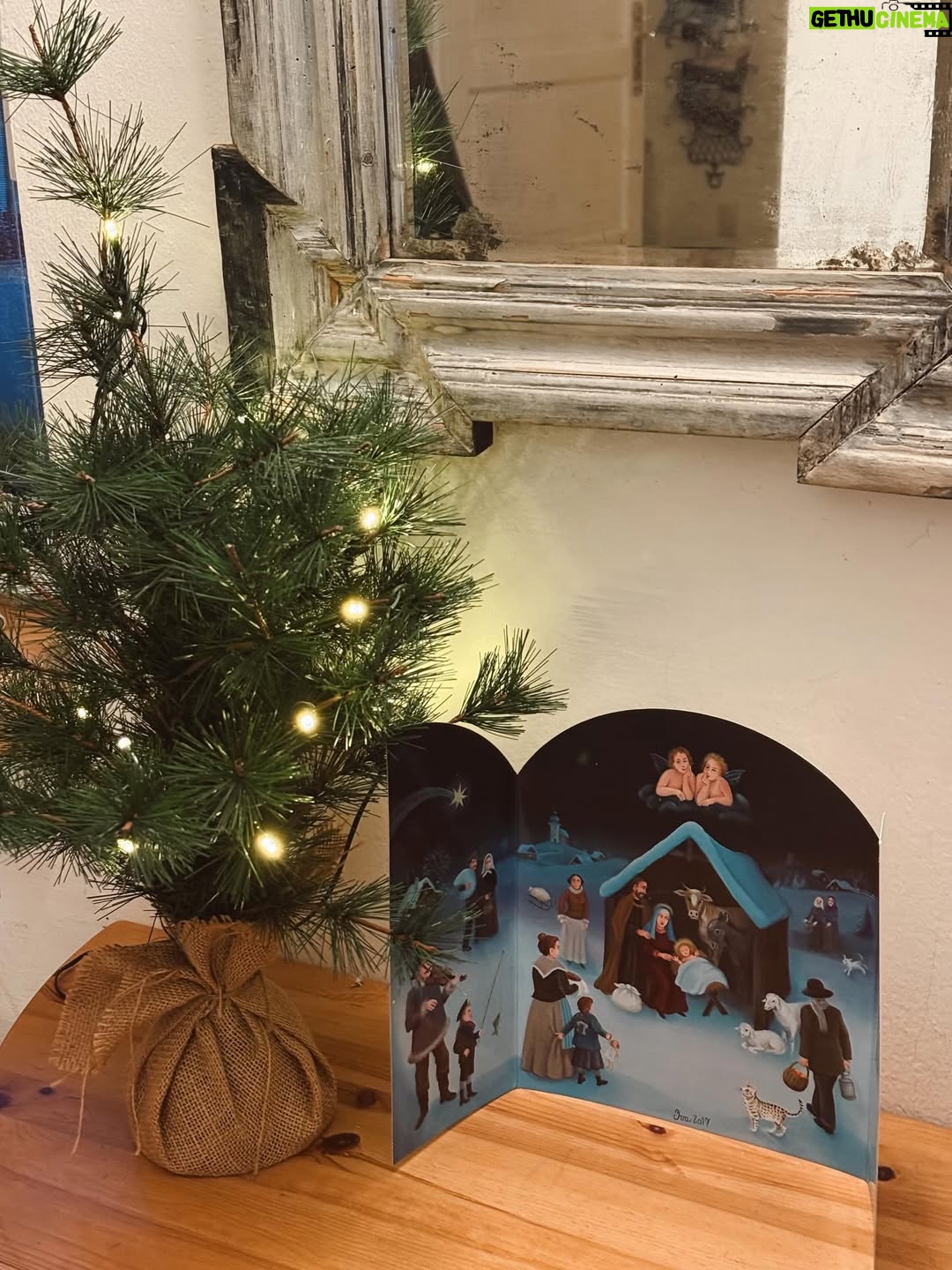 Mariana Prachařová - 3.3K Likes - krásnou poslední adventní neděli přeju🫶🏻🎄