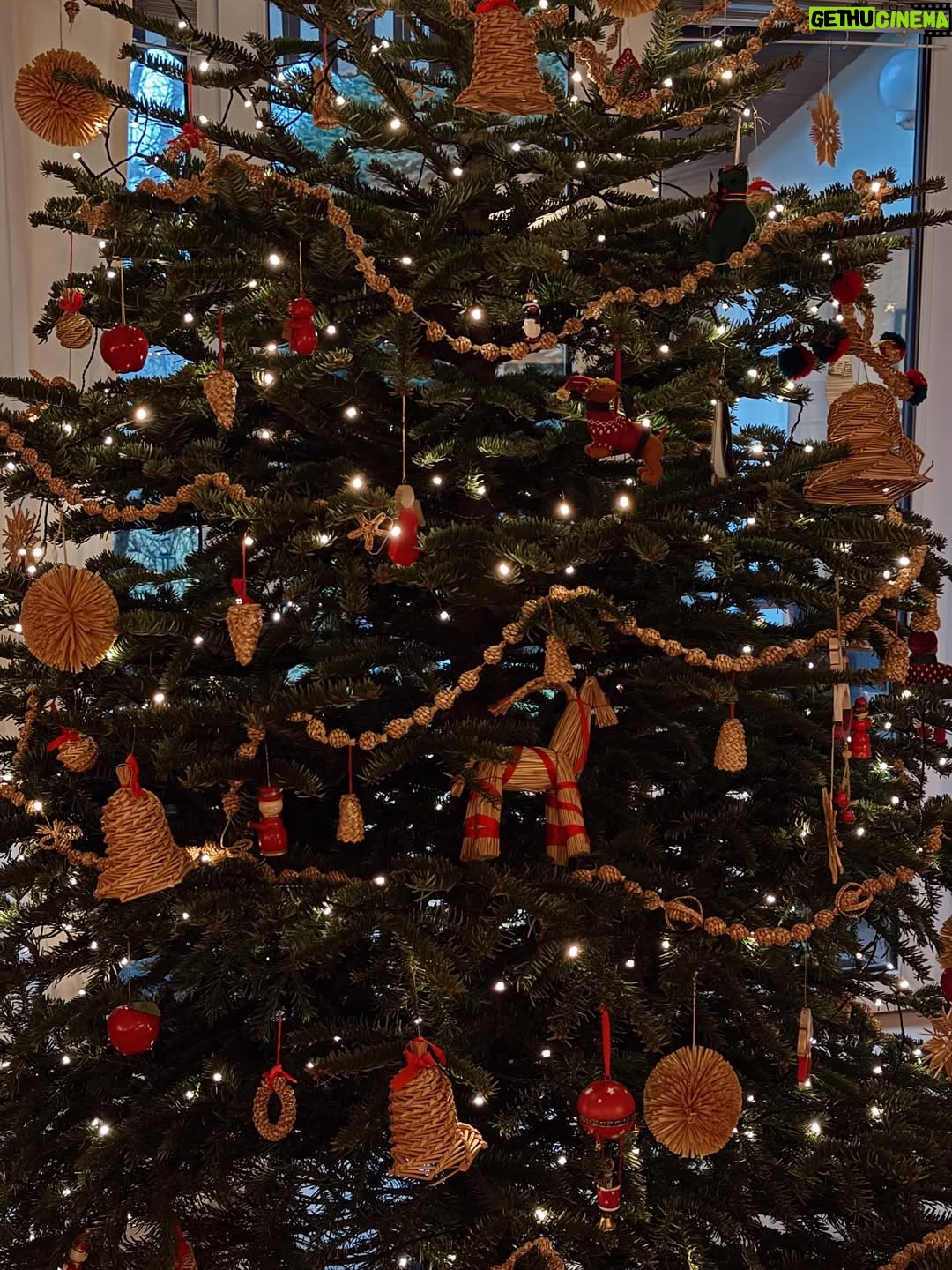 Mariana Prachařová - 3.3K Likes - krásnou poslední adventní neděli přeju🫶🏻🎄