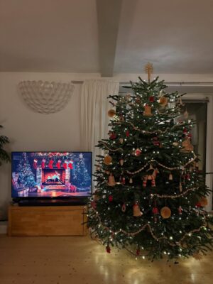 Mariana Prachařová Instagram - proč je to doma s tim stromečkem tak kouzelně útulný?
chci ho tady až do jara🥹🎄