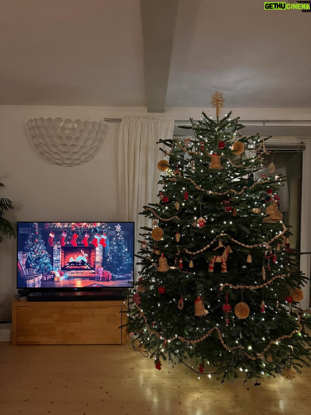 Mariana Prachařová - 5.7K Likes - proč je to doma s tim stromečkem tak kouzelně útulný?
chci ho tady až do jara🥹🎄