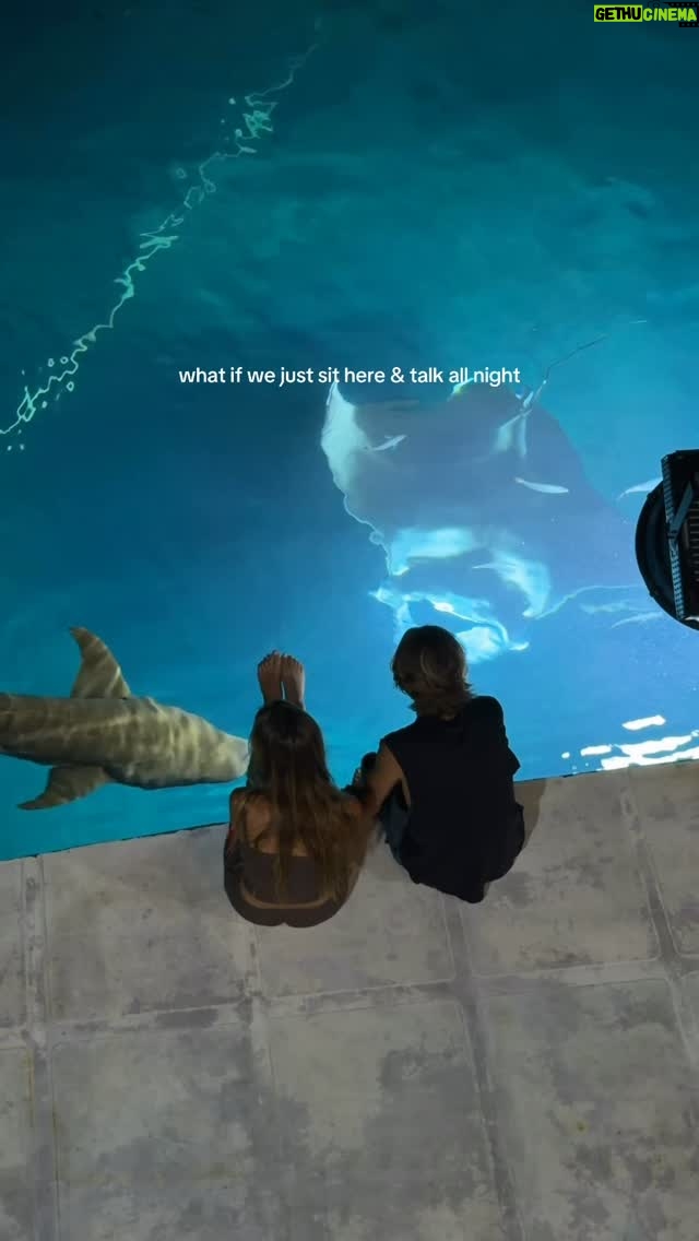 Mariana Wengorovius - 193.1K Likes - when life feels like AI
.
more and more we’re consuming AI videos without even noticing.
And one day, we’ll see a video like this — two rare species crossing paths in the ocean — and we’ll genuinely wonder if it’s even real.
So go out there.
Explore this planet.
It has so much more to offer than AI on your phone.

#travel #maldives #couple #trending