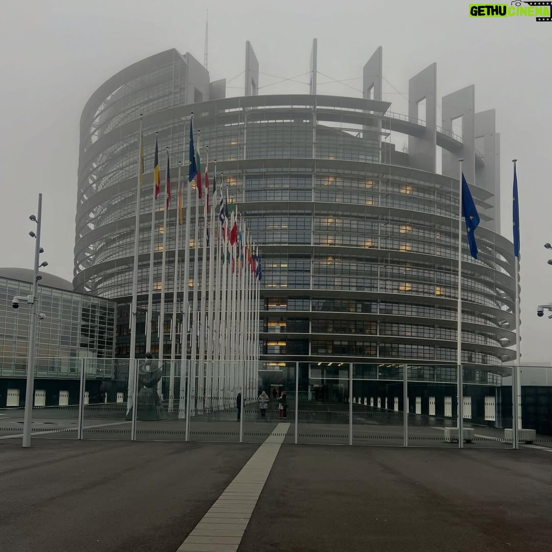Marta Bateira - 4.2K Likes - Prémio Sakharov. ✨
@parl.europeuportugal
📸 @ze_duque