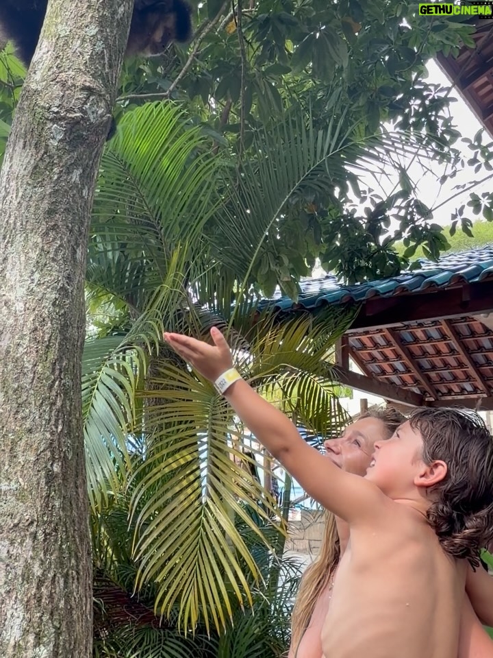 Mayte Rodríguez - 7.4K Likes - Que la vida siempre te pille columpiándote a ti mismo, y si es en una burbuja … que solo sea para jugar. Que del homosapiens al humano hay solo una banana de distancia , y que ojalá el verano te pille con cova. 
🌴 💚