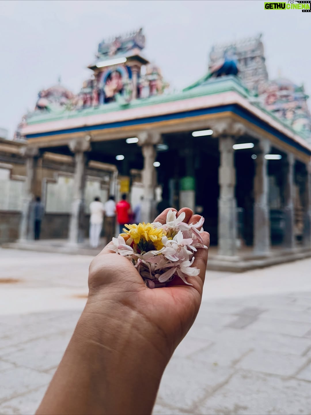 Meenakshi Dinesh - 83.2K Likes - No better way to start a Sunday in Chennai!