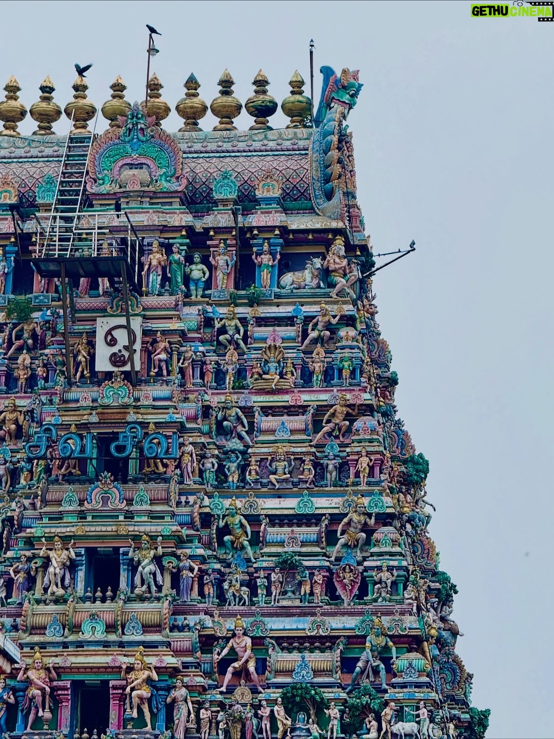 Meenakshi Dinesh - 83.2K Likes - No better way to start a Sunday in Chennai!